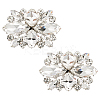 1 Pair Flower Alloy Glass Rhinestone Shoe Decorations FIND-FG0003-37-1