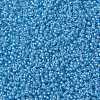MIYUKI Round Rocailles Beads SEED-G008-RR0221-3