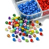 54G 12 Colors Baking Paint & Transparent Glass Seed Beads SEED-FS0001-19-3