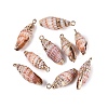 Electroplated Golden Brass Trim Natural Spiral Shell Pendants SSHEL-N042-39-1