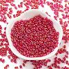 Glass Seed Beads SEED-A033-02A-04-2