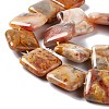 Natural Crazy Lace Agate Beads Strands G-L253-12-4