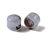 Handmade Lampwork Cylinder Seed Beads GLAA-D305-01D-3