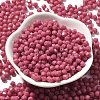 Picasso Baking Paint Glass Seed Beads SEED-A032-02A-04-2