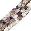 Natural Plum Blossom Tourmaline Beads Strands G-T141-12A-1