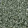 MIYUKI Delica Beads SEED-JP0008-DB2378-2
