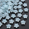 Transparent Acrylic Beads MACR-S373-26E-07-1