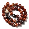 Natural Red Snakeskin Jasper Beads Strands G-H298-A02-04-3