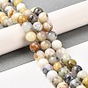 Natural African Opal Beads Strands G-B048-B03-02-2