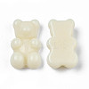 Opaque Acrylic Beads SACR-T351-004E-3