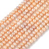 Natural Cultured Freshwater Pearl Beads Strands PEAR-C004-18A-2