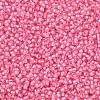 TOHO Round Seed Beads X-SEED-TR11-0191C-2