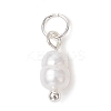 Natural Cultured Freshwater Pearl Potato Charms with Brass Jump Rings PALLOY-JF04176-03-3