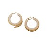 304 Stainless Steel Acrylic Hoop Earrings FS-WG57303-09-1