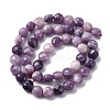 Natural Lepidolite/Purple Mica Stone Beads Strands G-C179-A38-03-3