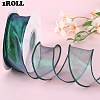 2roll Polyester Organza Ribbon DIY-SZ0010-21D-1