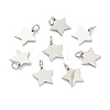 Tarnish Resistant (Defective Closeout Sale: Scratches)304 Stainless Steel Charms LS-STAS-XCP0001-34-1