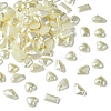 Acrylic Cabochons MRMJ-T063-217-1