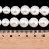 Electroplated Shell Pearl Graduated Beads Strands BSHE-C011-04-5