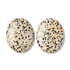 Natural Dalmatian Jasper Worry Stone for Anxiety Therapy G-B036-01J-1
