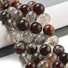 Natural Four Seasons Lodolite Quartz Beads Strands G-Z063-A02-01-2