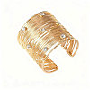Iron Wired Cuff Bangles WGFA891-01-2