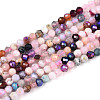 AB Color Plated Natural Garnet & Rose Quartz & Black Spinel & Amethyst & Quartz Crystal & Ice Obsidian Beads Strands G-T144-A07-07-1