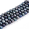Natural Cultured Freshwater Pearl Beads Strands PEAR-N013-05C-02-5
