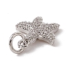 Brass Micro Pave Cubic Zirconia Charms LS-ZIRC-F132-13P-3