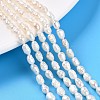 Natural Cultured Freshwater Pearl Beads Strands PEAR-N014-04G-1