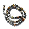 Natural Eagle Eye Stone Beads Strands G-K245-A09-02-2