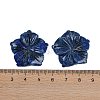 Natural Sodalite Carved Pendants G-B097-01A-04-3