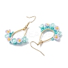 Resin & Glass Seed Beads Teardrop Dangle Earrings EJEW-MZ00401-02-4