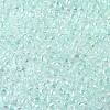 TOHO Round Seed Beads SEED-JPTR08-0170-2