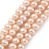 Natural Cultured Freshwater Pearl Beads Strands PEAR-C003-13A-2