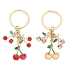 Alloy Resin and Rhinestone Keychain X1-KEYC-YW00141-01-2