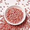 6/0 Opaque Colours Seep Glass Seed Beads SEED-F003-04A-14-2