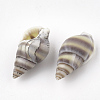 Spiral Shell Beads SSHEL-S251-05-2