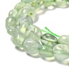 Natural Prehnite Beads Strands G-F706-02A-3