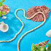 1 Strand Natural Trochus Shell Rondelle Beads Strands SSHEL-TA0001-16B-5