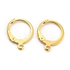 304 Stainless Steel Leverback Earring Findings STAS-D448-041G-1