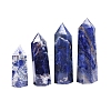 Point Tower Natural Sodalite Home Display Decoration PW-WG54681-02-4
