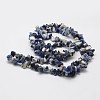 Natural Sodalite Beads Strands G-F328-25-2