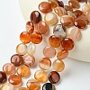 Flat Round Gemstone Natural Red Agate Stone Beads Strands G-S110-03-3