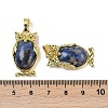 Natural Sodalite Pendant KK-F887-02G-20-3