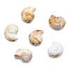 Opaque Acrylic Beads OACR-H034-46C-1