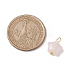 Natural Rose Quartz Star Charms with Brass Loops PALLOY-JF02733-01-2