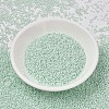 MIYUKI Delica Beads SEED-X0054-DB1506-2