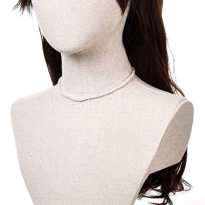 Vintage Painted Round Glass Pearl Beaded Necklace for Girl Women Mother NJEW-JN03665-01-1