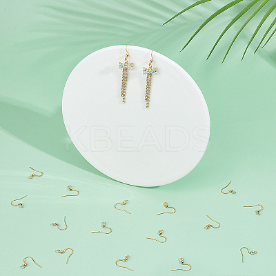100Pcs 316 Surgical Stainless Steel Earring Hooks STAS-UN0058-62-1